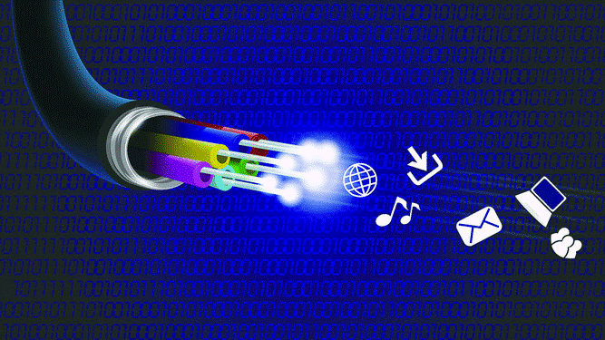 fibre