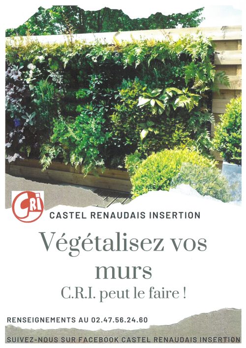 Végétalisation des murs