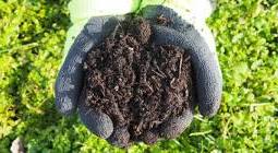 compost